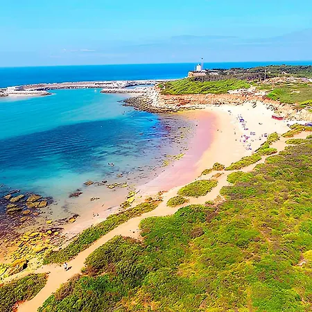 Excelente Economico En * Conil De La Frontera